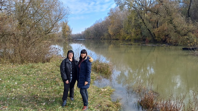 IFE-RESTORE-for-MDD-Sombor-7