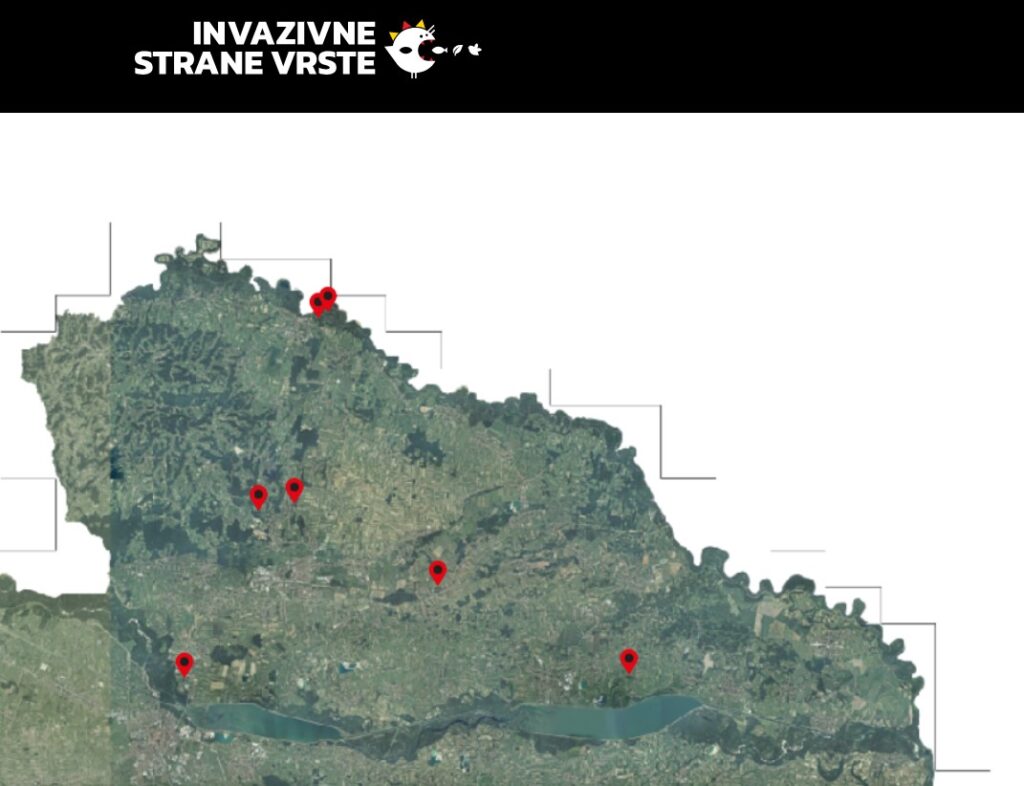 Lokacije invazivnih vrsta kornjača Trachemys scripta zabilježenih u Međimurskoj županiji (Izvor: Invazivne strane vrste, web stranica)