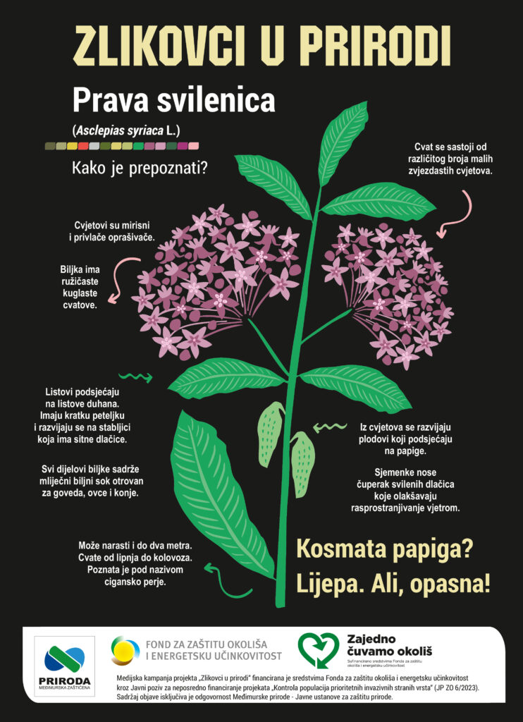01 Zlikovci u prirodi - prava svilenica - srpanj