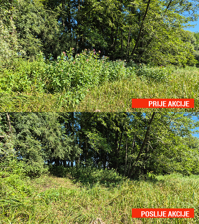 stanje prije i poslije akcije