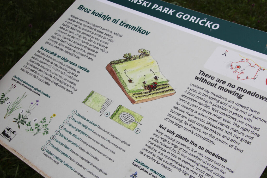 Goricko studijsko putovanje (12)