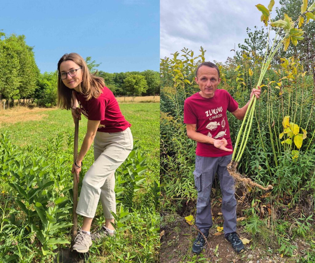 Ivana Horvat i Antonio Krušelj
