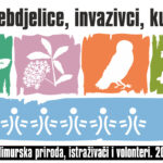 logo Muhe lebdjelice, invazivci, kukuvija.cdr