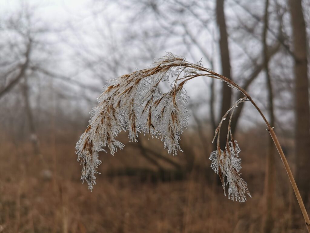 Fotografija mjeseca (studeni 2025.)