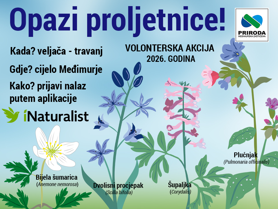 Opazi proljetnice!