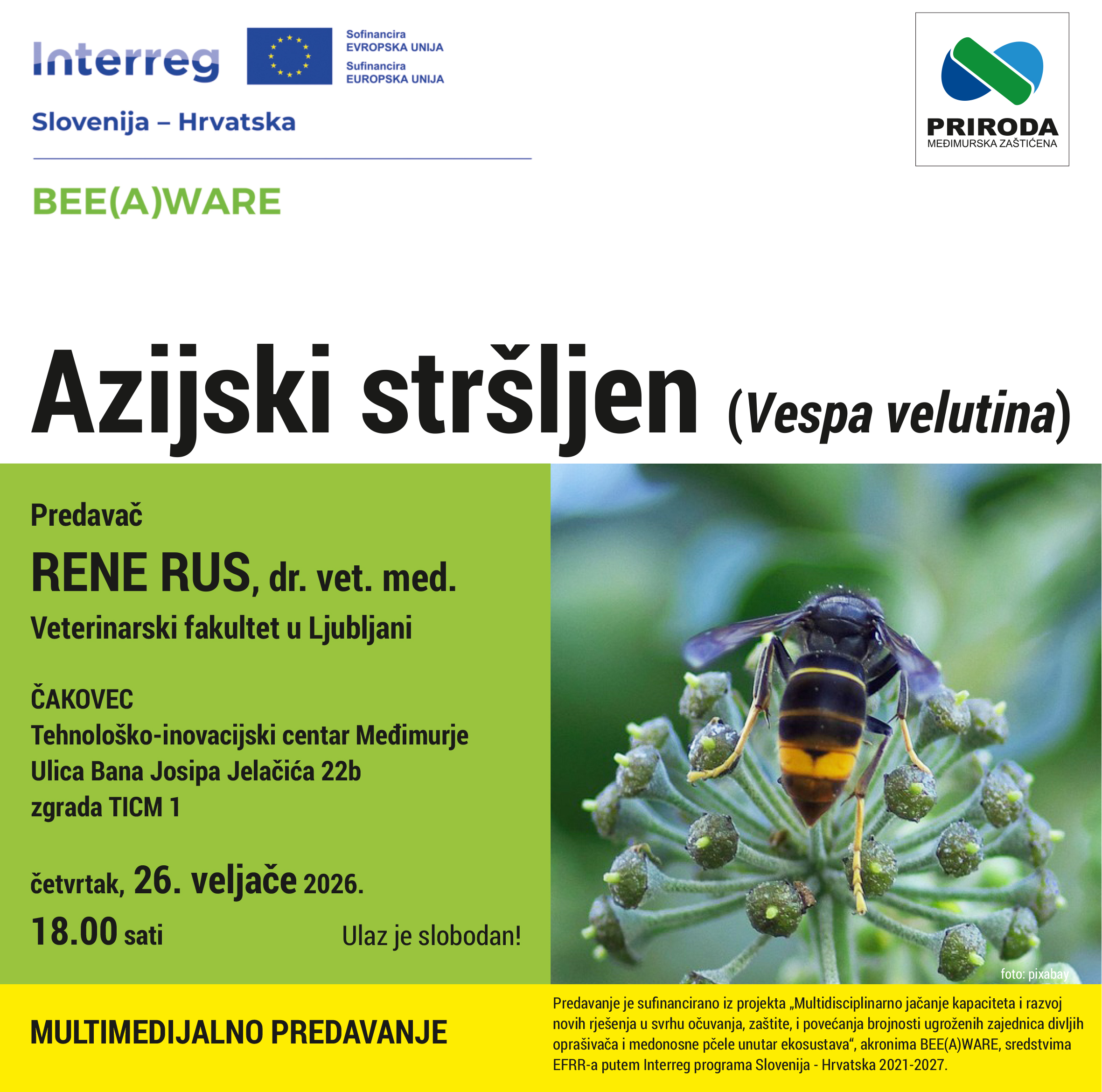 pozivnica predavanja Bee(A)ware Azijski stršljen