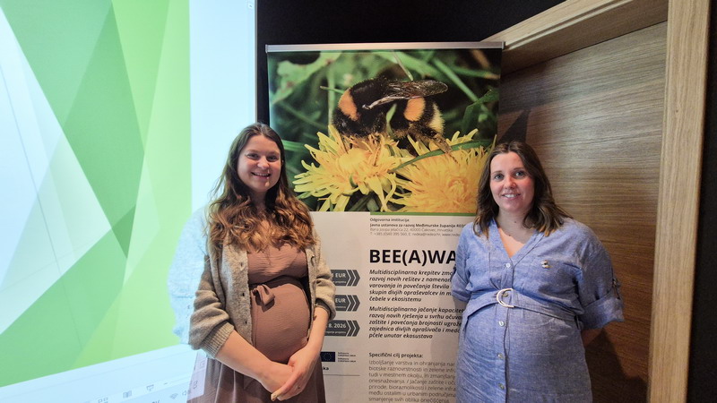 Mala enciklopedija oprašivača