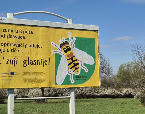 BEE(A)WARE: Tko su muhe lebdjelice?