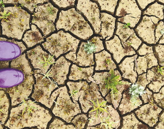 NAJAVA: Otvorenje izložbe fotografija Zelena špijunaža