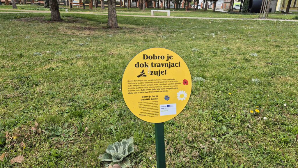 mozaicna kosnja Park znanja (4)