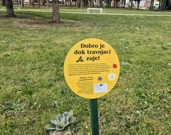 BEE(A)WARE: Mozaična košnja širi se čakovečkim parkovima