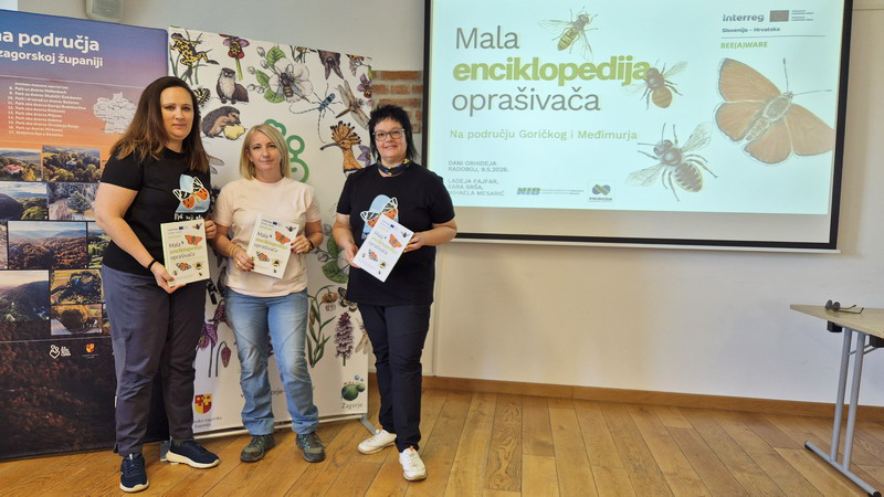 BEE(A)WARE: Mala enciklopedija oprašivača predstavljena na Danima orhideja u Radoboju