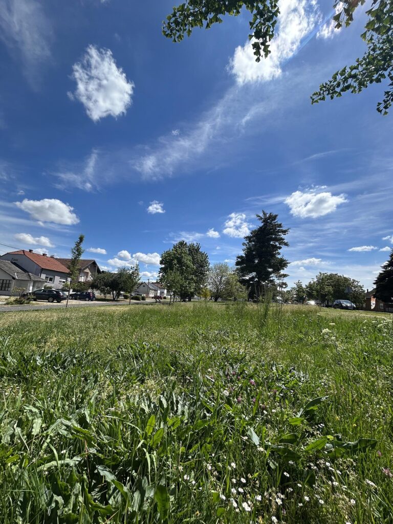 Preloška Čakovec - mozaična košnja (8)