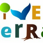 divertera logo