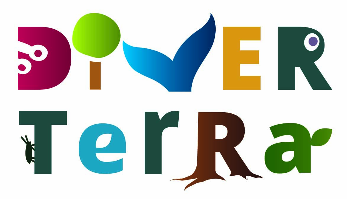 divertera logo