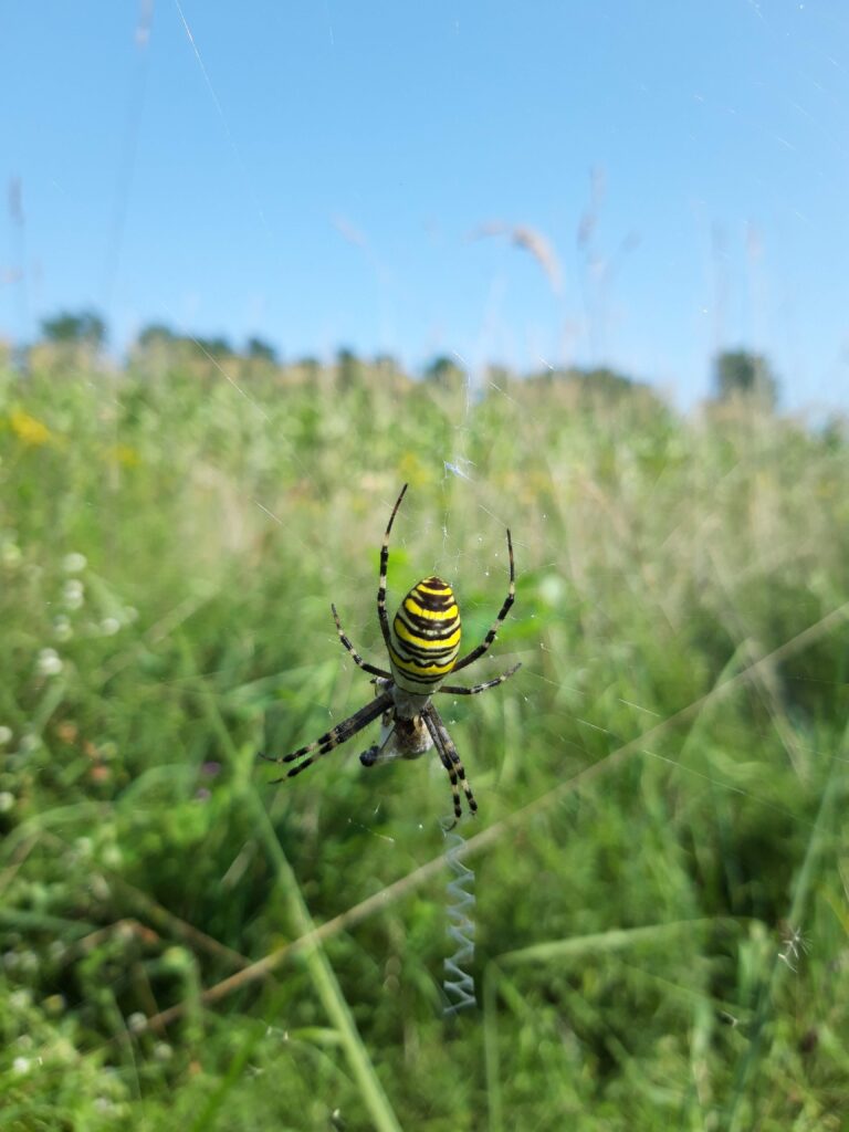 Fotografija mjeseca (svibanj 2026.)