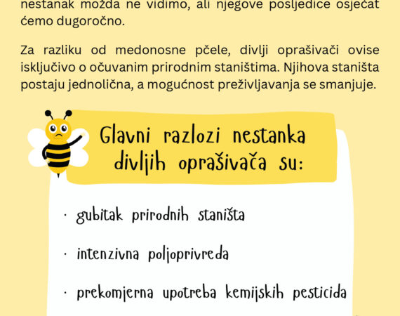 BEE(A)WARE: Tihi nestanak koji ne primjećujemo