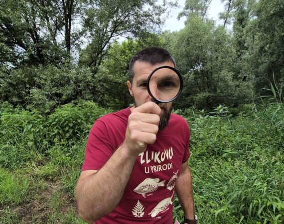 VIDEO: ZLIKOVCI U PRIRODI – Tko je misteriozni uljez koji briše domaće vrste?
