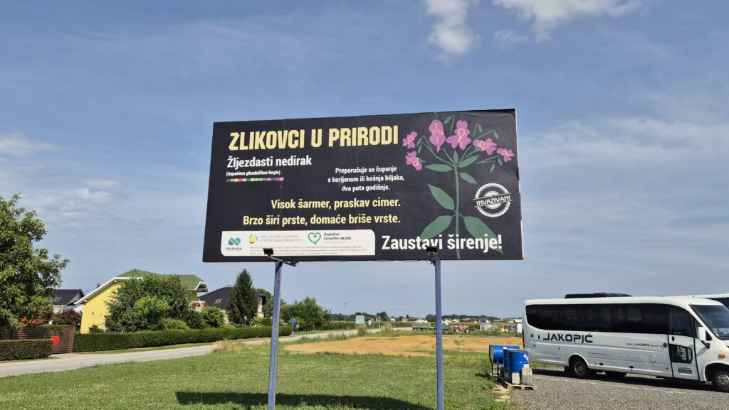 jumbo plakat Zabnik (2)