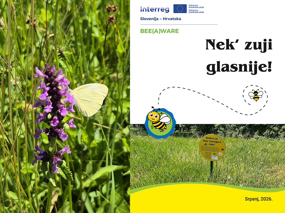 BEE(A)WARE: Predstavljamo digitalnu brošuru Nek’ zuji glasnije!