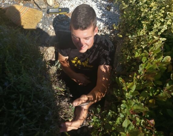 Zmija u šahtu? Ovoga puta ipak – sljepić!