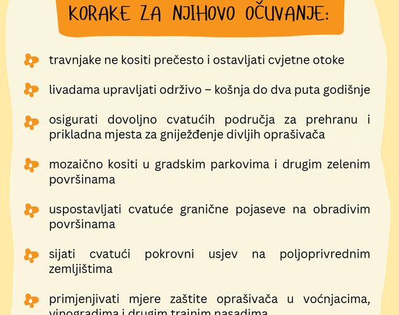BEE(A)WARE: Više od projekta – trajni doprinos zaštiti divljih oprašivača!