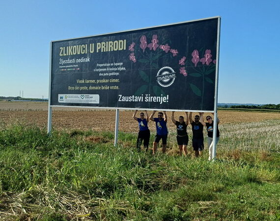 ZLIKOVCI U PRIRODI: Žljezdasti nedirak i dalje pod povećalom!