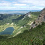 flora bosanskohercegovačkih Dinarida - foto Dubravko Šincek